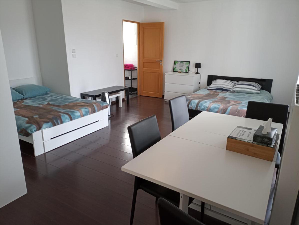 Studio Independant 40M² Avec Jardin Prive Hauteville-Lompnes Ngoại thất bức ảnh